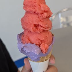 Watermelon / Taro