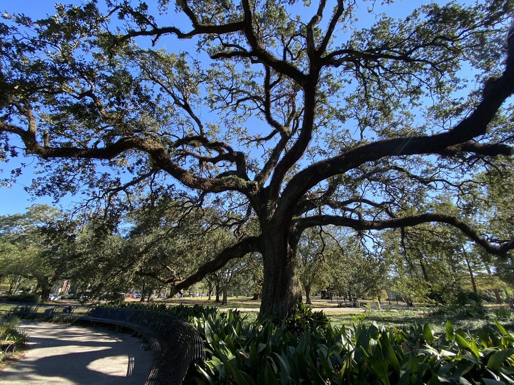 AUDUBON PARK 659 Photos & 167 Reviews 6500 Magazine St, New Orleans