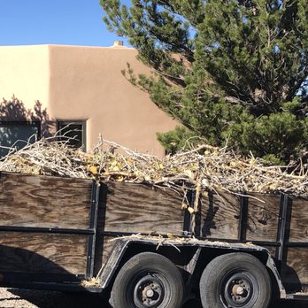 Blossom Trees - hauling away - Tree Services Near Me