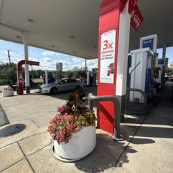 Exxon - Clean bays and pretty flowers everywhere!