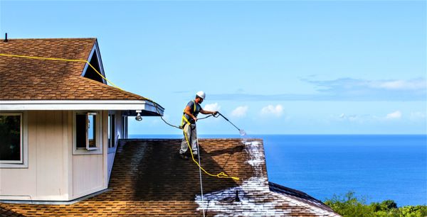 Roof Rejuvenate