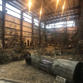 Boneyard Archery - 3D Big game room - Archery Near Me - Madison, North Carolina
