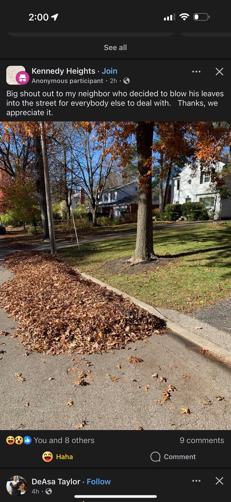 Groomes Lawn Care - tree service in Cincinnati, OH