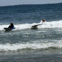 York Harbor Beach - Surfing board fun