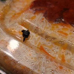 Piece of plastic Piece of plastic