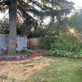 Samsara Tree Care - Tree Services Near Me - Portland, Oregon Samsara Tree Care - Tree Services Near Me - Portland, Oregon