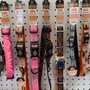 Photo of Coronado Pet Shoppe