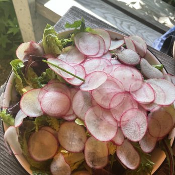 Apteka - Wiosenna Salatka (greens salad with pickled beets, herbs, shaved radish, spiced sunflower seeds, roast parsley vin) - Vegan Near Me - Pittsburgh, Pennsylvania