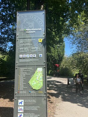 The Botanical Garden by null