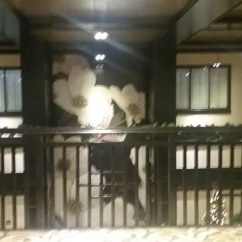 Hampton Inn & Suites Chicago-Downtown - Dramatic, quasi-japonaiserie mural in lobby. What blossoms are these? - Hotels Near Me - Chicago, Illinois Hampton Inn & Suites Chicago-Downtown - Dramatic, quasi-japonaiserie mural in lobby. What blossoms are these? - Hotels Near Me - Chicago, Illinois