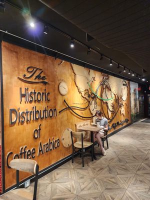 Qahwah House Coffee - Astoria Queens by null