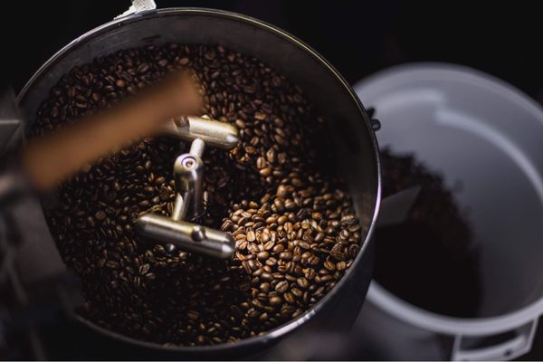 Cold Blooded Coffee & Roastery by null