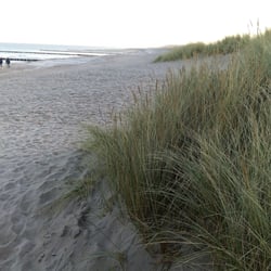 Strand - Deich Seeseite