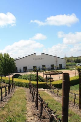 William Hill Estate Winery by null