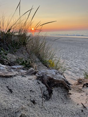 Indiana Dunes Visitor Center by null
