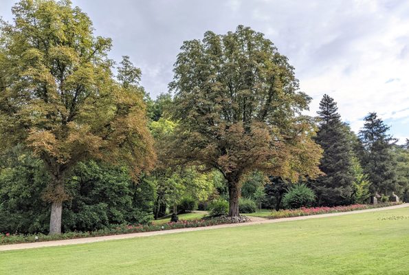 Campo del Moro by null