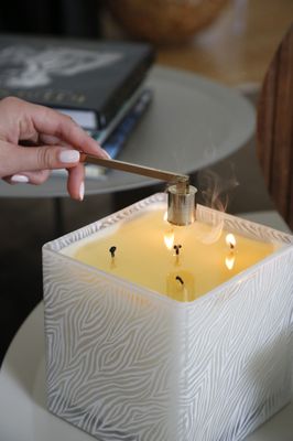 TAJA Collection by null