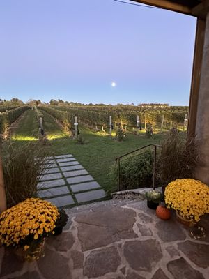 Wölffer Estate Vineyard by null