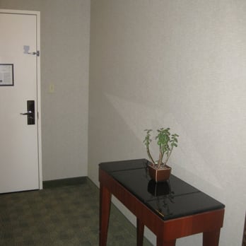 Hyatt Regency Boston - plant in hallway - Hotels Near Me - Boston, Massachusetts Hyatt Regency Boston - plant in hallway - Hotels Near Me - Boston, Massachusetts