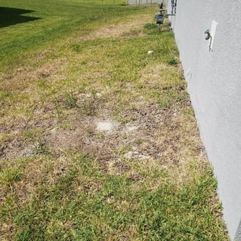 Landsea Homes - Even More Dead Grass - Home Developers Near Me - Dallas, Texas Landsea Homes - Even More Dead Grass - Home Developers Near Me - Dallas, Texas