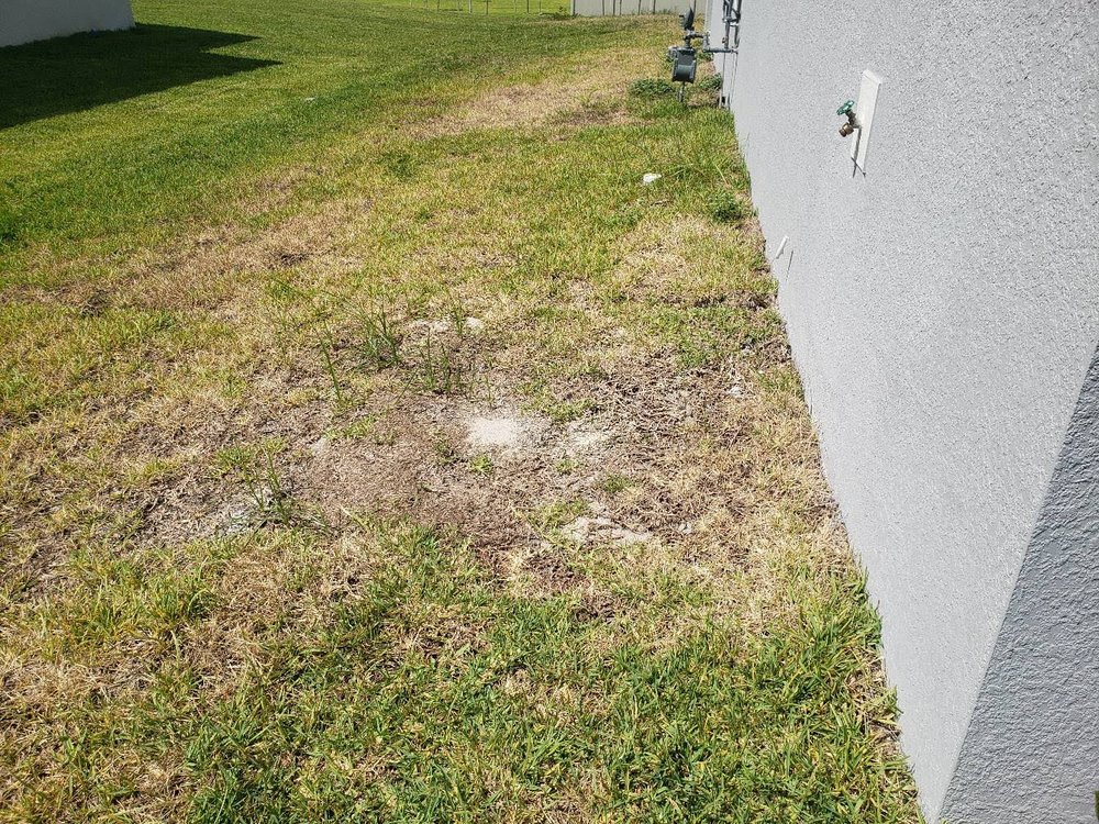 LANDSEA HOMES Updated September 2024 31 Reviews 1717 McKinney Ave, Dallas, Texas Home