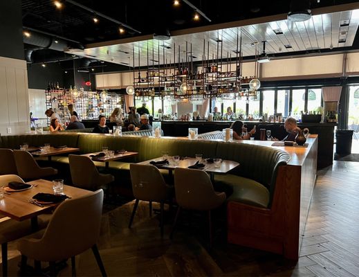 The Blue Dog by null