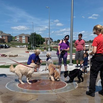 MidMo Dog Training - Level 3 obedience class travels to real world locations to practice with distractions. - Pet Sitting Near Me - Jefferson City, Missouri MidMo Dog Training - Level 3 obedience class travels to real world locations to practice with distractions. - Pet Sitting Near Me - Jefferson City, Missouri