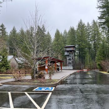 Tillamook Forest Center - Tillamook Forest Center - Parks Near Me - Tillamook, Oregon Tillamook Forest Center - Tillamook Forest Center - Parks Near Me - Tillamook, Oregon