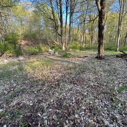 Better Way Landscaping - Large cleanup