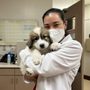 Photo of Our Pet's Vet