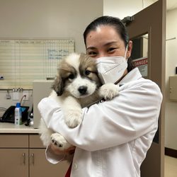 Our Pet's Vet - Dr. Nguyen is happy to provide comprehensive and compassionate care to your furry family members.