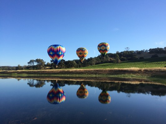 Napa Valley Aloft Hot Air Balloon Rides by null