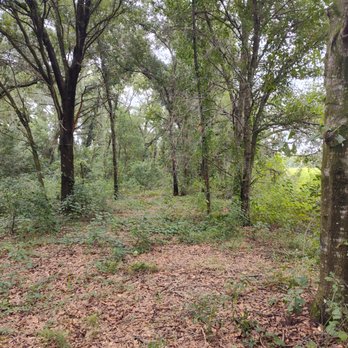 Amtrix Land Clearing And More - Landscaping Near Me Amtrix Land Clearing And More - Landscaping Near Me