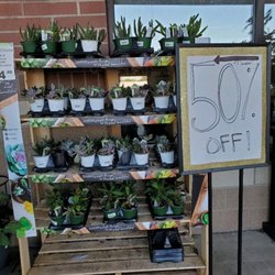 Kroger - Summer flowers at Kroger!