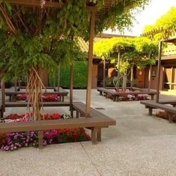 Shyamali Mallick Singhal MD PhD - Outside Area