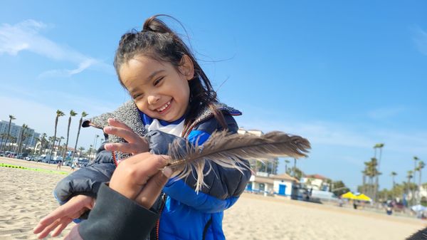 Huntington State Beach by null