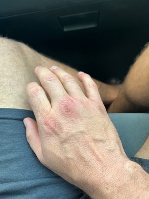 Paddy's Irish Public House by null