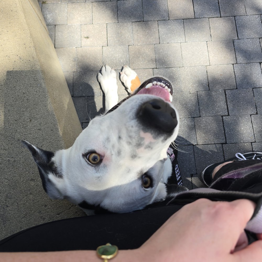 Checking in with me while in the super busy Topanga mall.