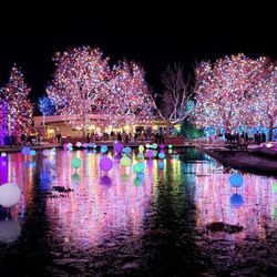 Blossoms of Light - Holiday Orbs