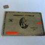 Photo of Lion Credit Card