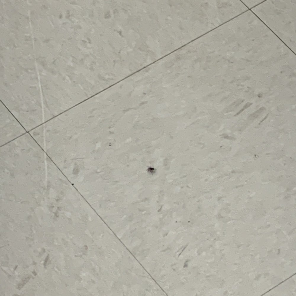 Safeway - Fly on the ground. - Grocery Near Me - Clearlake, California Safeway - Fly on the ground. - Grocery Near Me - Clearlake, California