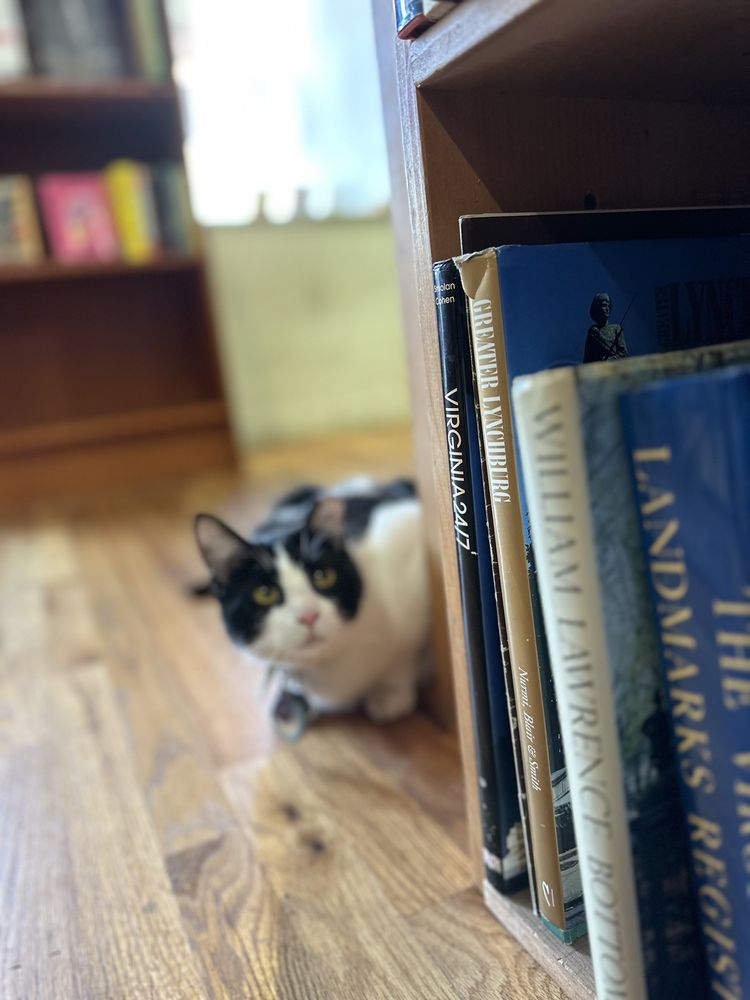 SHELF LIFE BOOKS Updated September 2024 102 Photos & 107 Reviews