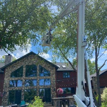 Cutting Edge Tree Service - Tree Services Near Me - Racine, Wisconsin Cutting Edge Tree Service - Tree Services Near Me - Racine, Wisconsin