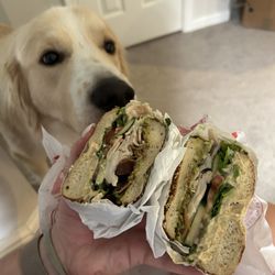 Bagel Uprising - My baby approves!