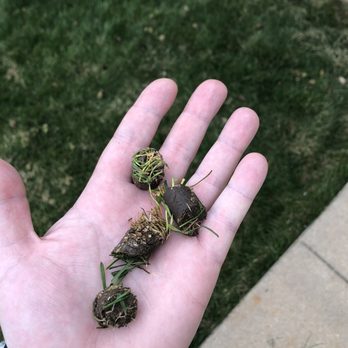 Mile Hi Services - Not plugged at all compared to what they advertise - Lawn Services Near Me - Denver, Colorado Mile Hi Services - Not plugged at all compared to what they advertise - Lawn Services Near Me - Denver, Colorado