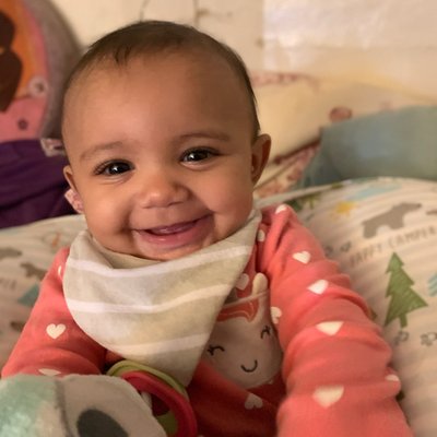 The Fairview by null