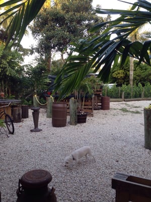 Redland Ranch by null