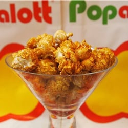 Popalott