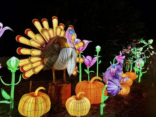 Four Mile Historic Park by null