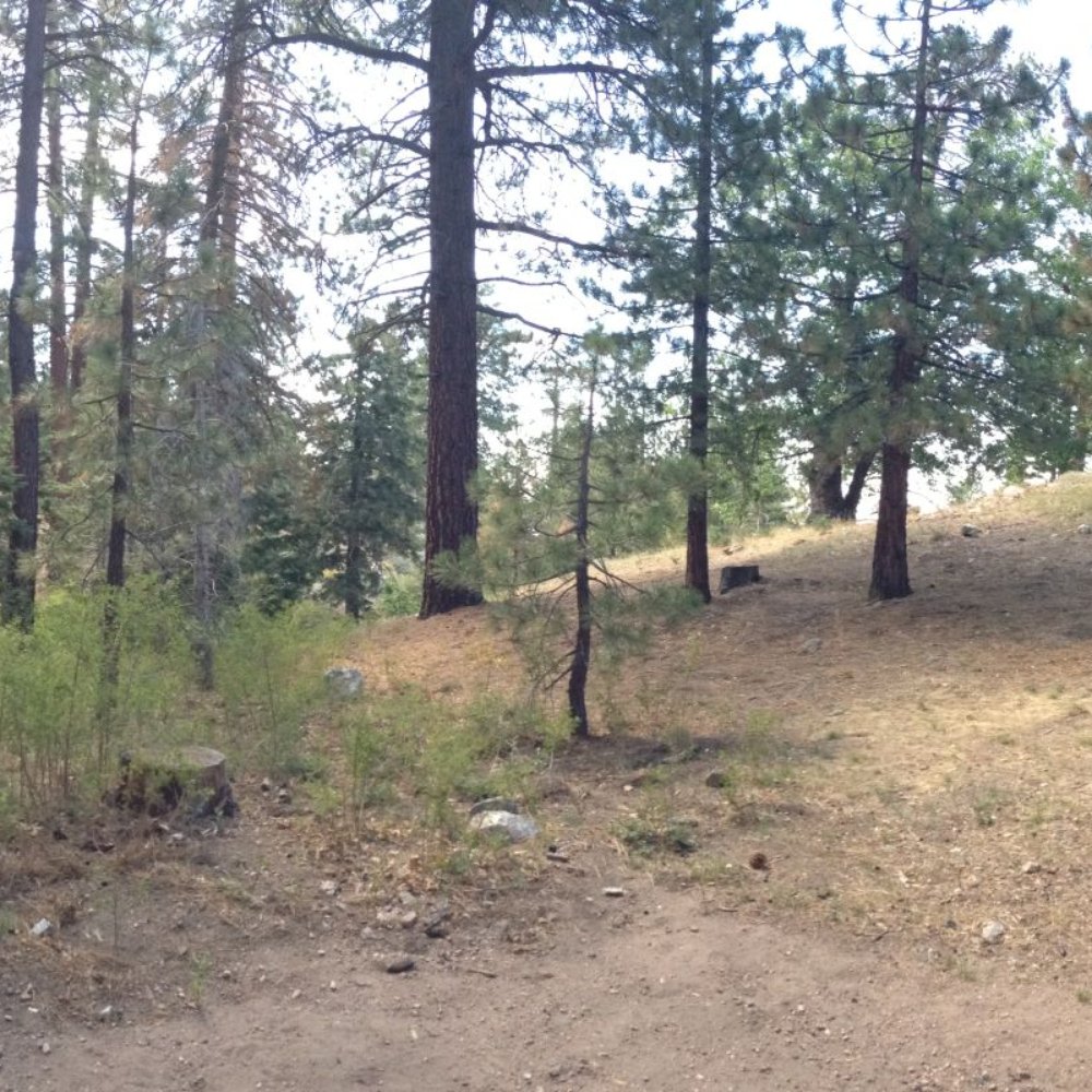 Table Mountain Campground - Site #59 - Campgrounds Near Me - Llano, California Table Mountain Campground - Site #59 - Campgrounds Near Me - Llano, California